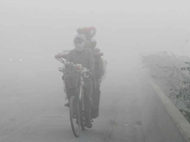 Generic file photograph used to illustrate an environmental report